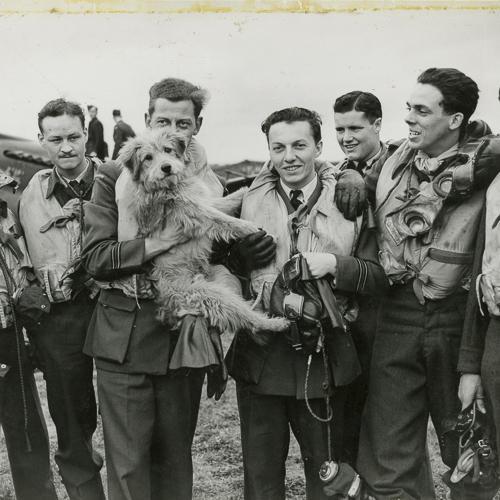 Un groupe d'hommes tenant un chien au Musée canadien de la guerre à Ottawa.