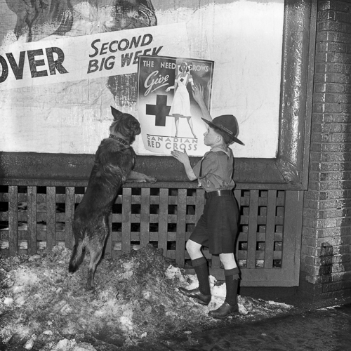 Un garçon avec un chien devant l’enseigne du Musée canadien de la guerre à Ottawa.