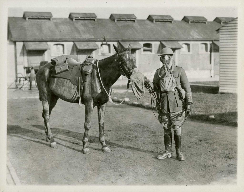 Un soldat debout à côté d'un cheval au Musée canadien de la guerre à Ottawa.